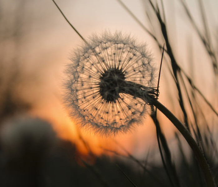 360 F 128888175 50tDjzx4N1L6OhEec4Aan3UBmSa7vqMq