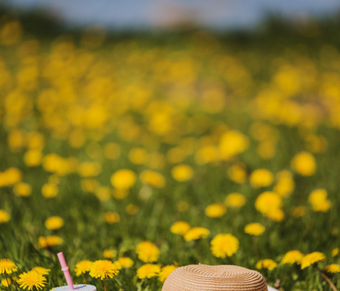 hut und sonnenbrille auf dem gras