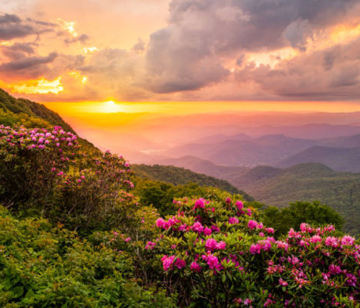 istockphoto 1403500817 612x612