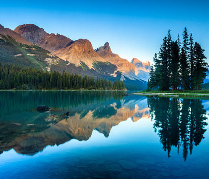 istockphoto 485371557 612x612 v2