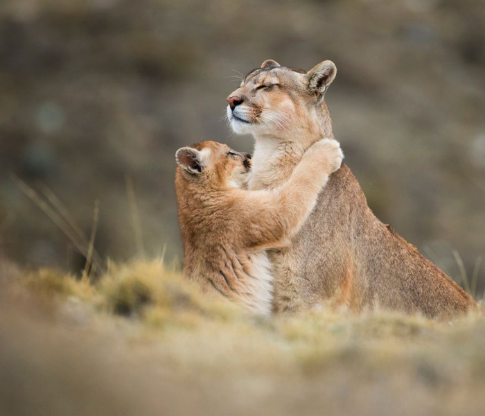 tpoty 90 ep 2019 hc3 aeshel jpg 86003 v2